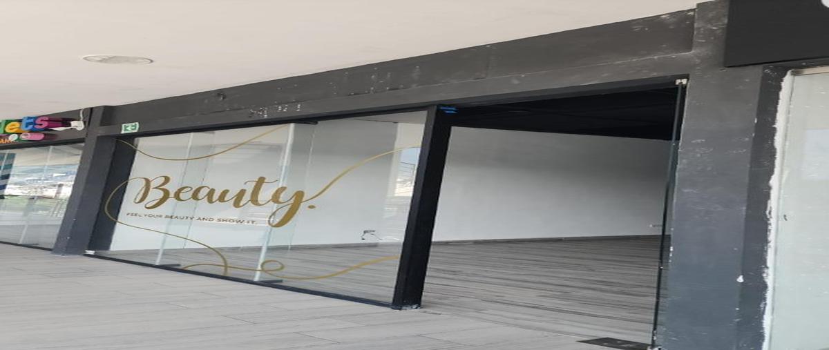 Foto de local en renta en  , las cruces [carretera nacional kilómetro 236], allende, nuevo león, 0 No. 05